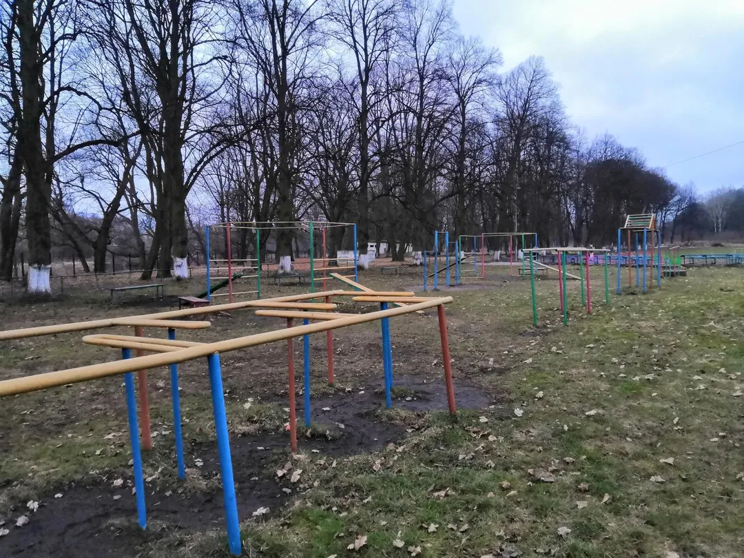 Spalliera presso Calisthenics Park at Черняховский городской стадион Прогресс, Черняховск – foto 4 di 5