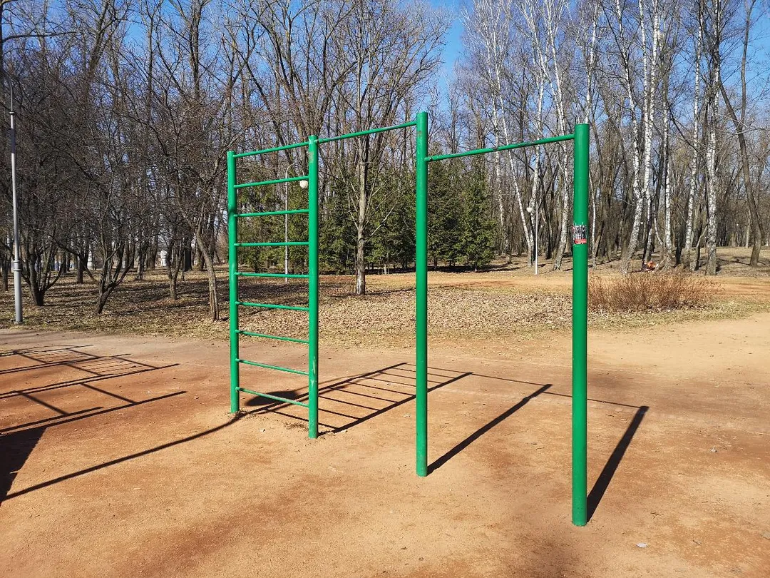 Шведская стенка на площадке Calisthenics Park at Арлоўская вуліца, Мінск #wp3342 – фото 4 из 8