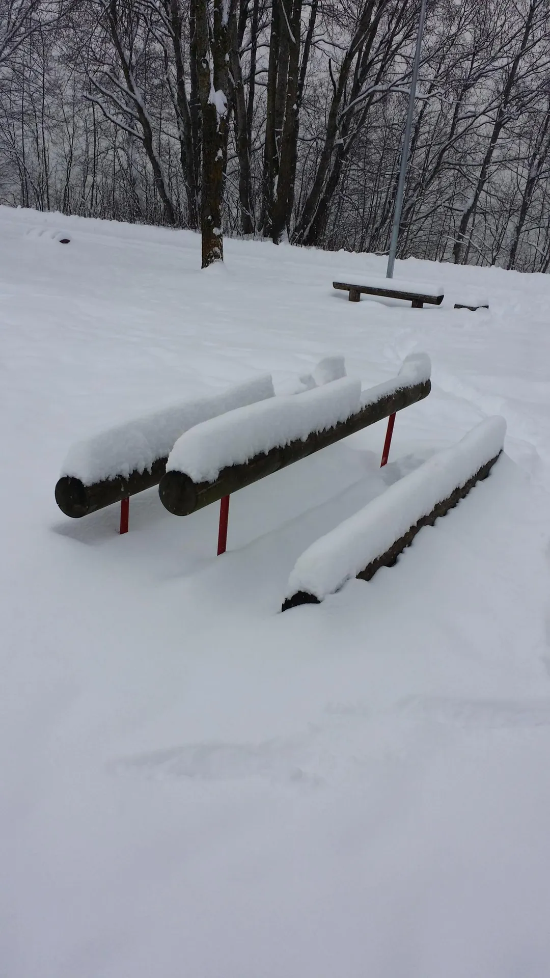 Bară de flotări la Calisthenics Park at Männiku tee, Sillamäe linn – fotografia 7 din 9