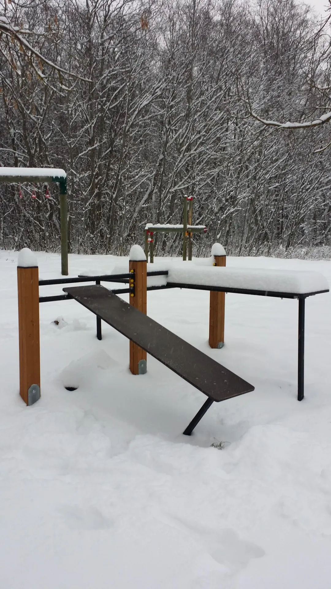 Bare paralele la Calisthenics Park at Männiku tee, Sillamäe linn – fotografia 8 din 9