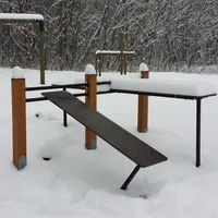 Calisthenics Park at Männiku tee, Sillamäe linn - thumbnail 8