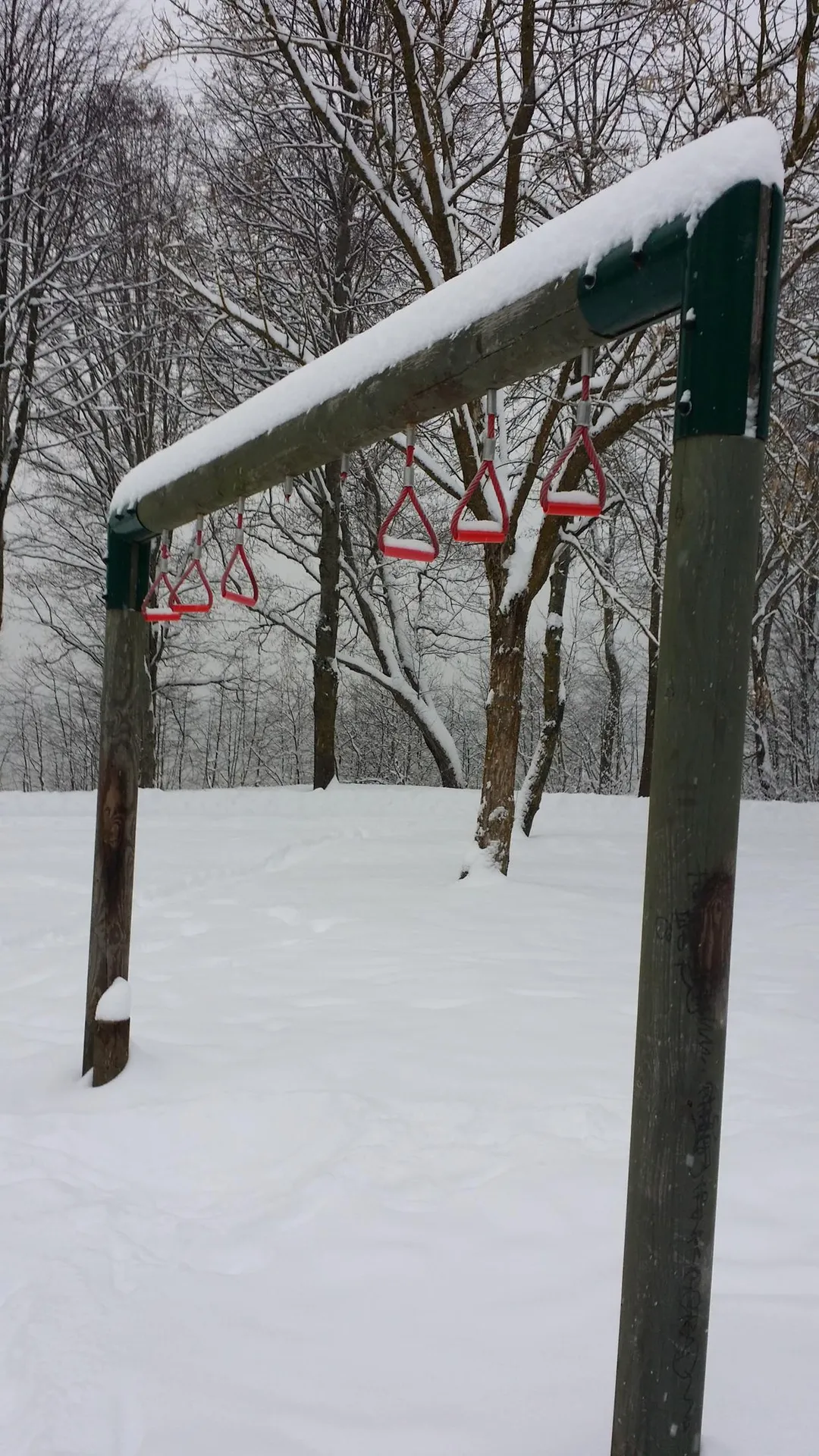 Bară de flotări la Calisthenics Park at Männiku tee, Sillamäe linn – fotografia 2 din 9