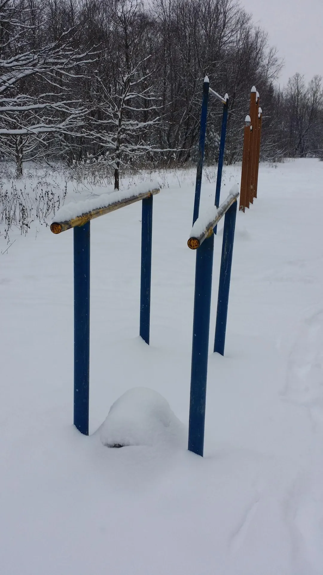 Monkey Bars la Calisthenics Park at Männiku tee, Sillamäe linn – fotografia 4 din 9