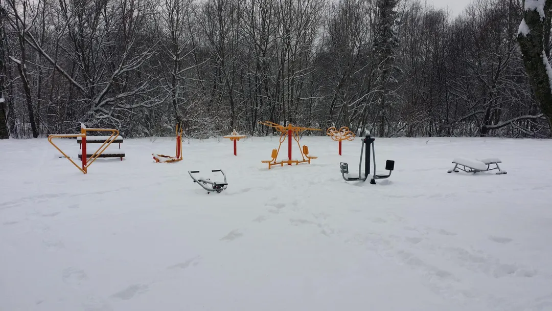 Monkey Bars la Calisthenics Park at Männiku tee, Sillamäe linn – fotografia 9 din 9