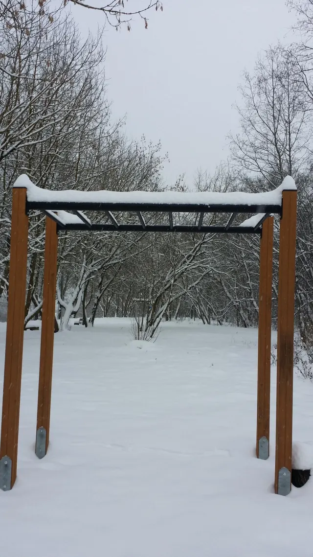 Calisthenics Park at Männiku tee, Sillamäe linn