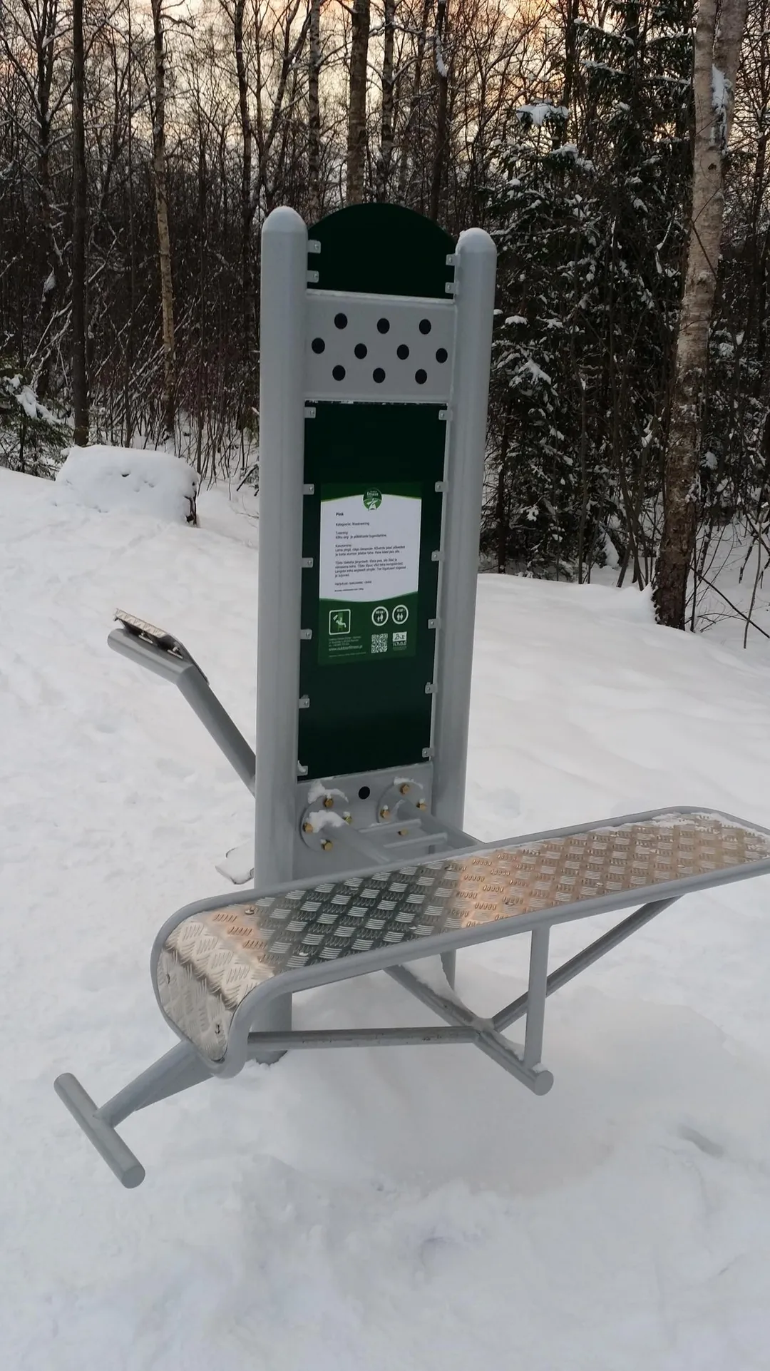 Sbarra per trazioni presso Calisthenics Park at Metsapargi, Kohtla-Järve linn – foto 8 di 10