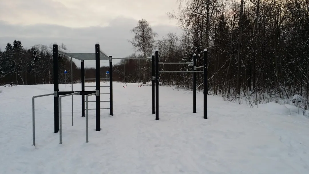 Monkey bar presso Calisthenics Park at Metsapargi, Kohtla-Järve linn – foto 3 di 10