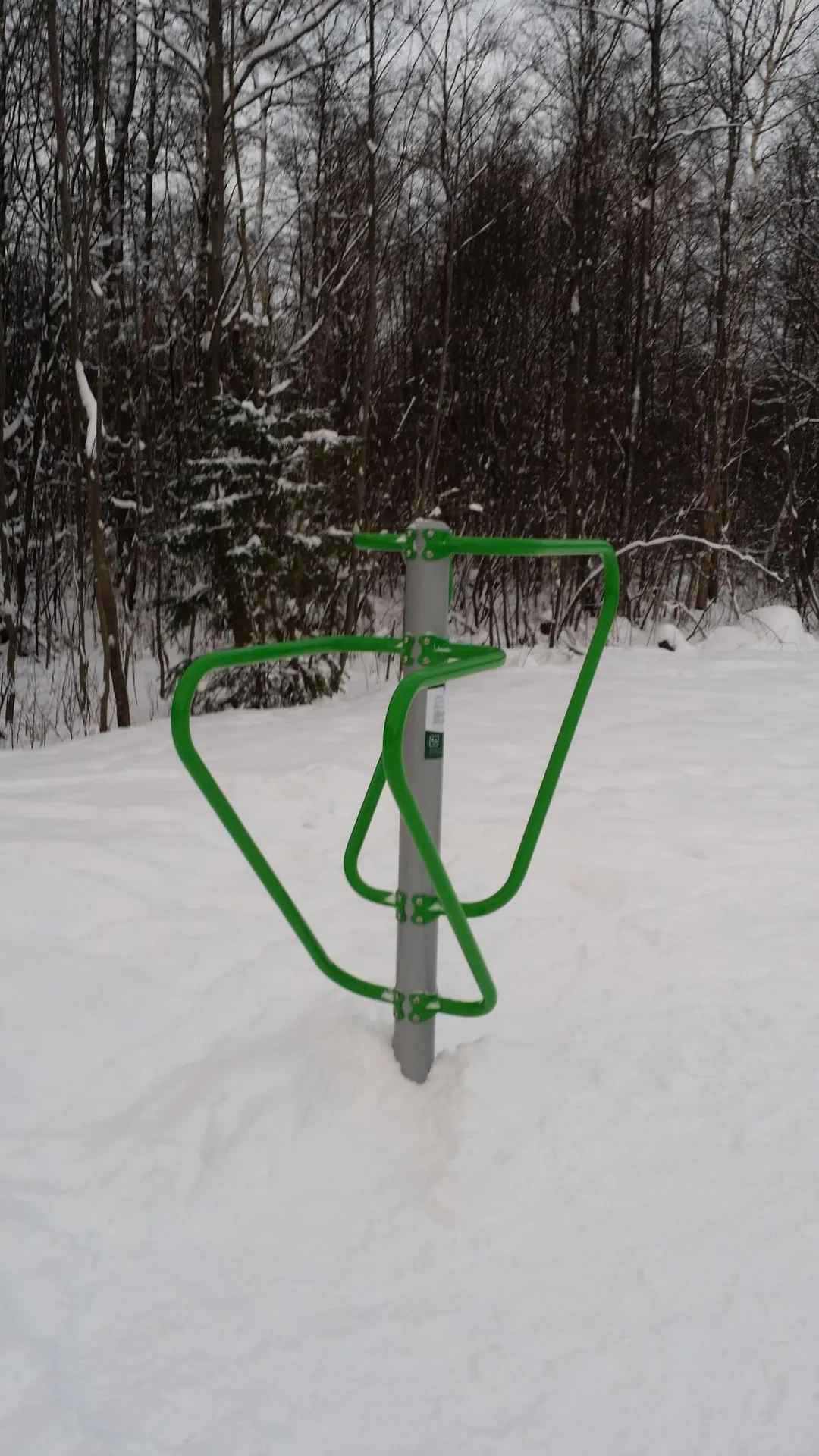 Monkey bar presso Calisthenics Park at Metsapargi, Kohtla-Järve linn – foto 10 di 10