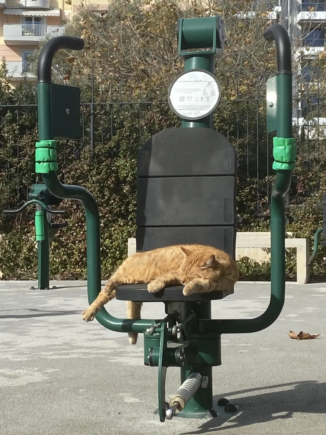 Pull Up Bar at Outdoor Gym in 2η Κοινότητα Καλλιθέας, Δήμος Καλλιθέας – photo 9 of 10