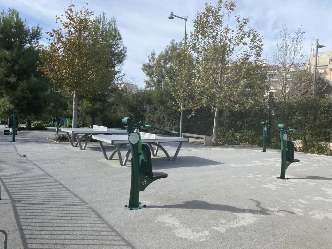Wall Bars at Outdoor Gym in 2η Κοινότητα Καλλιθέας, Δήμος Καλλιθέας – photo 8 of 10