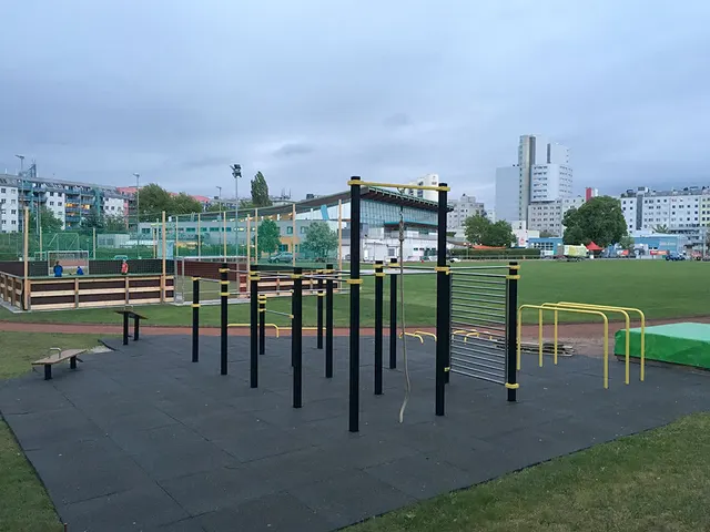 Calisthenics Park at Hopsagasse, Wien