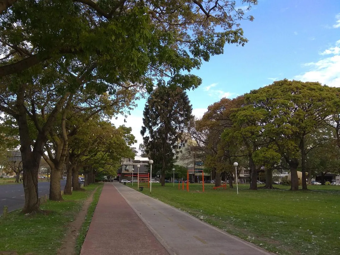 Pull Up Bar at Calisthenics Park at Avenida Presidente Figueroa Alcorta, Buenos Aires – photo 1 of 3