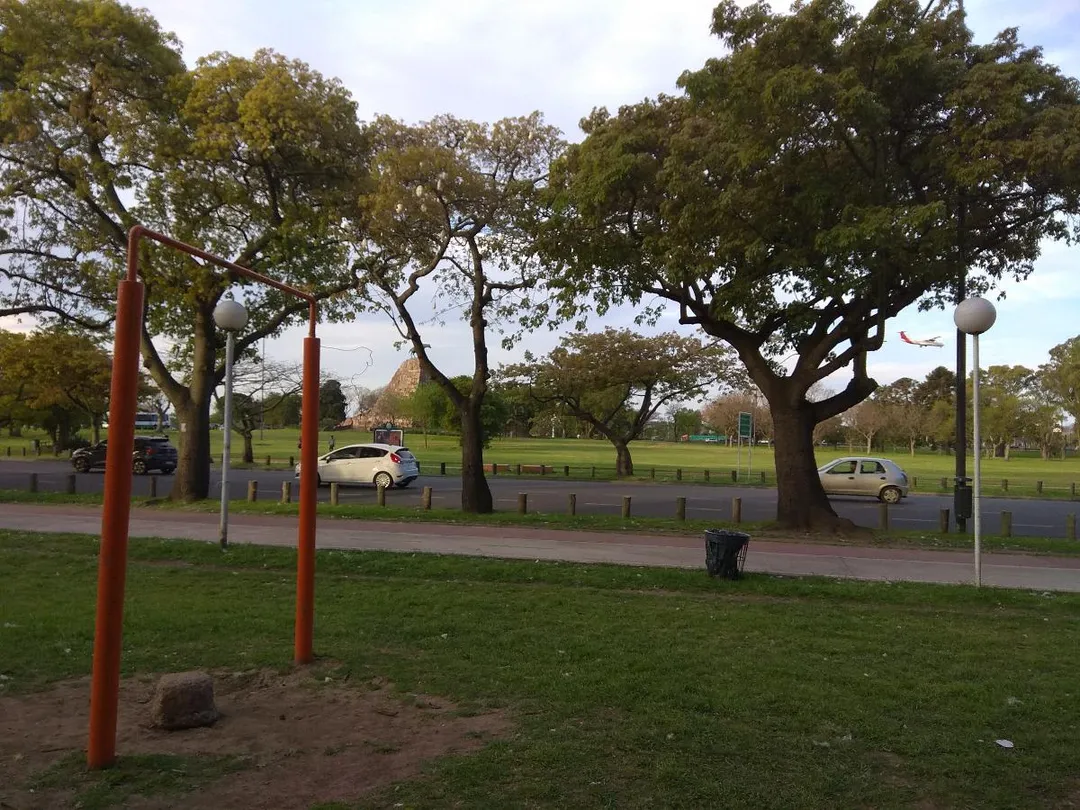 Wall Bars at Calisthenics Park at Avenida Presidente Figueroa Alcorta, Buenos Aires – photo 3 of 3
