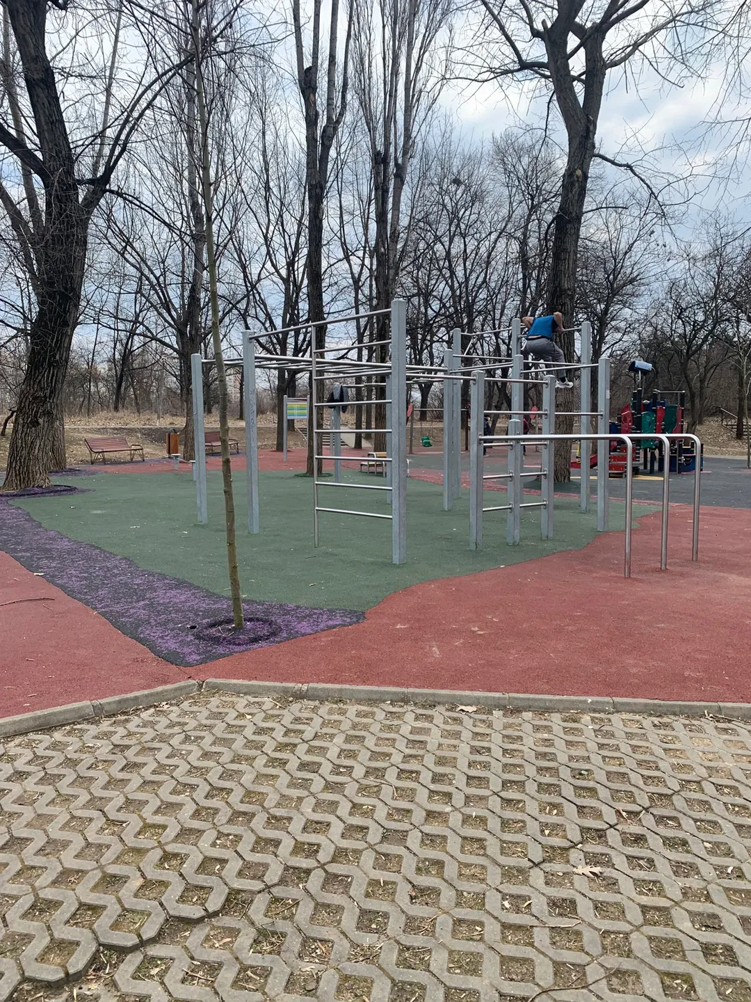 Espalier à Calisthenics Park at Strada Constantin Brâncuși, București – photo 4 sur 4
