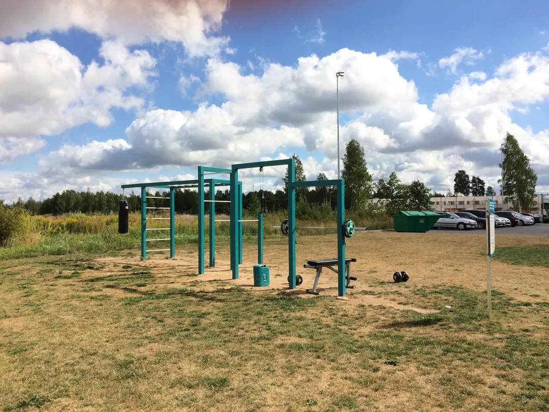 Monkey Bars la Calisthenics Park at Nõlvakaare, Tartu vald – fotografia 3 din 3
