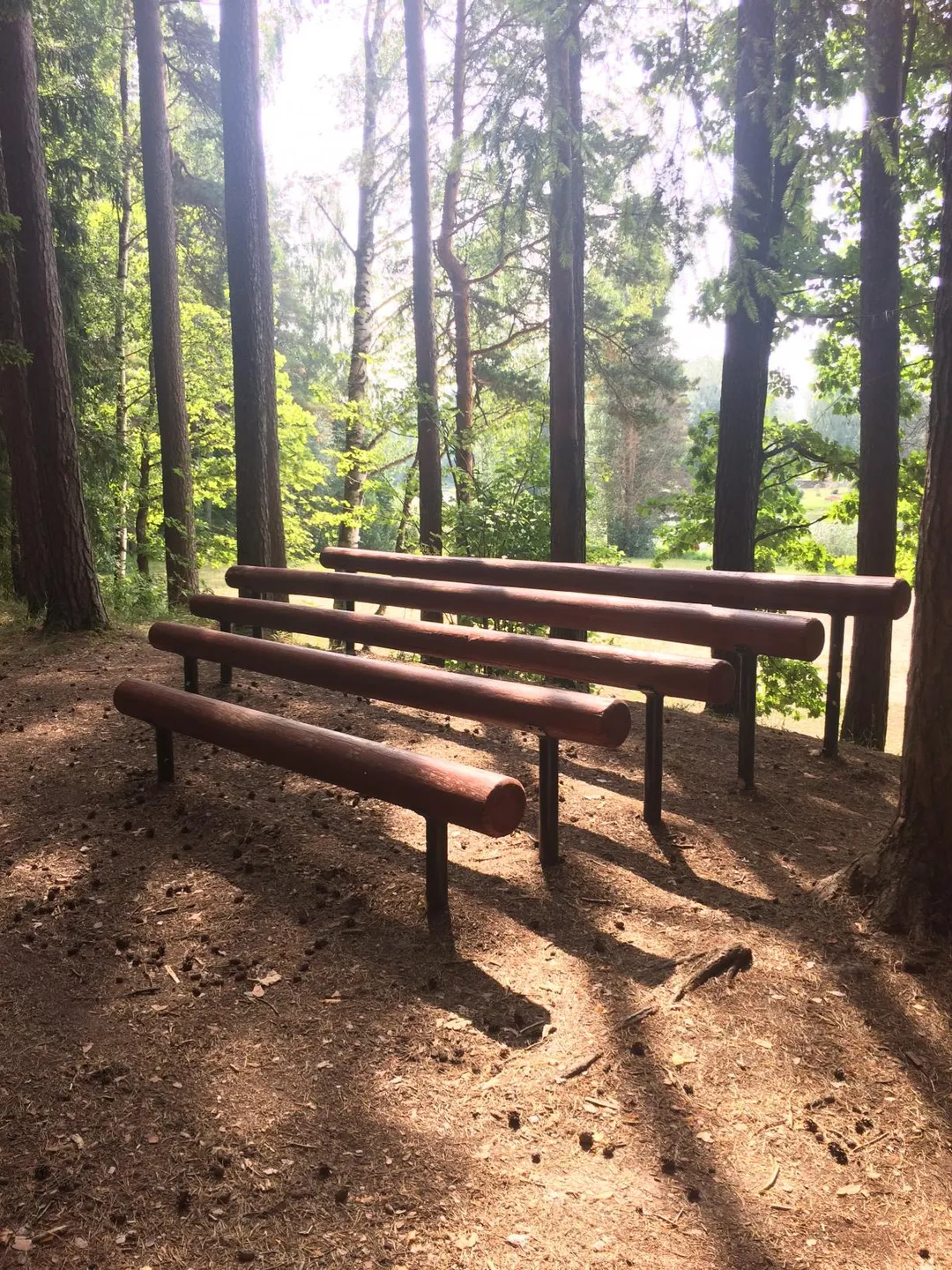 Бруси на майданчику Calisthenics Park at Vallamaja tee, Kastre vald – фото 2 з 4