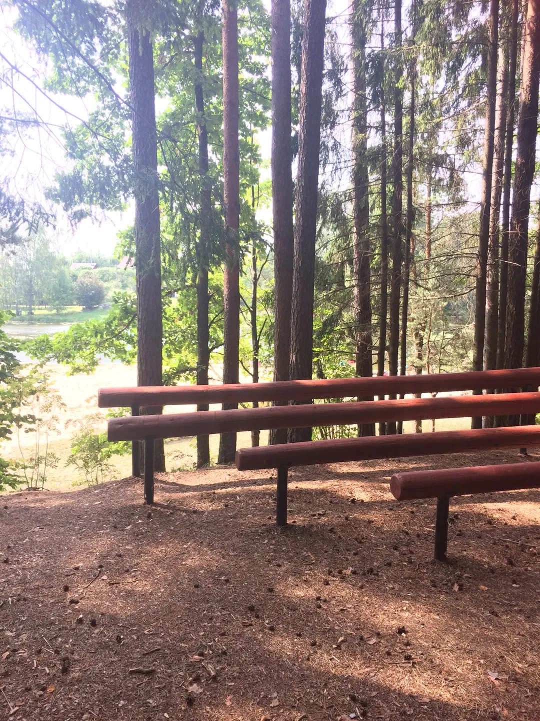 Турнік на майданчику Calisthenics Park at Vallamaja tee, Kastre vald – фото 3 з 4
