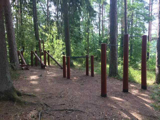 Calisthenics Park at Vallamaja tee, Kastre vald