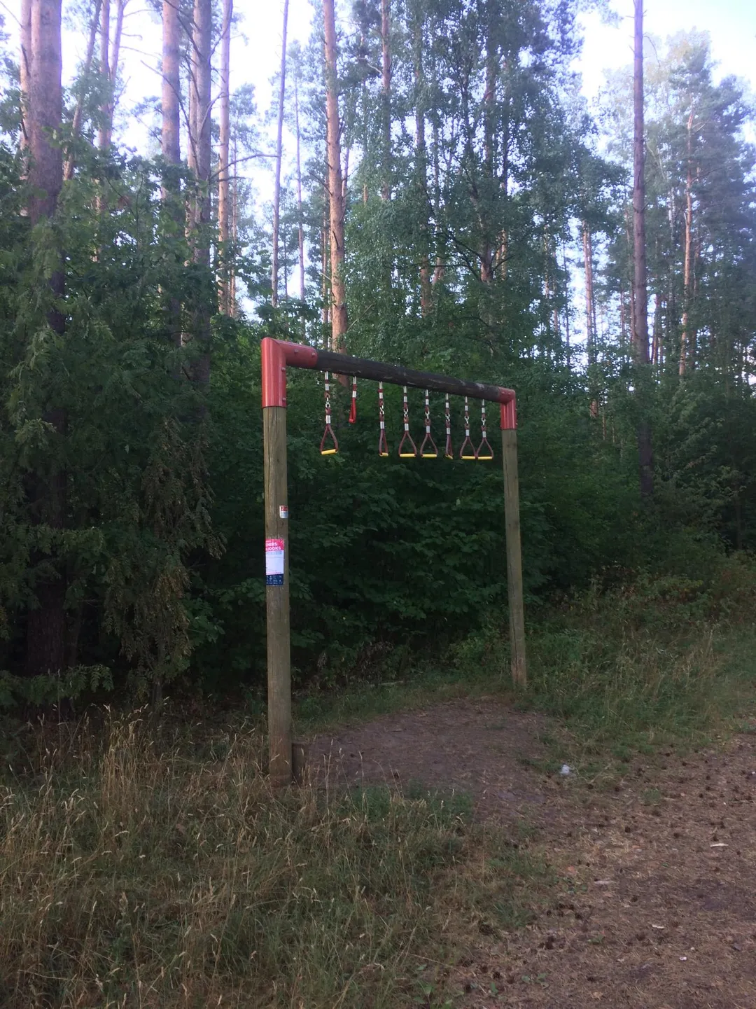 Barras de Mono en Calisthenics Park at Eduard Wiiralti, Tartu linn – foto 2 de 5