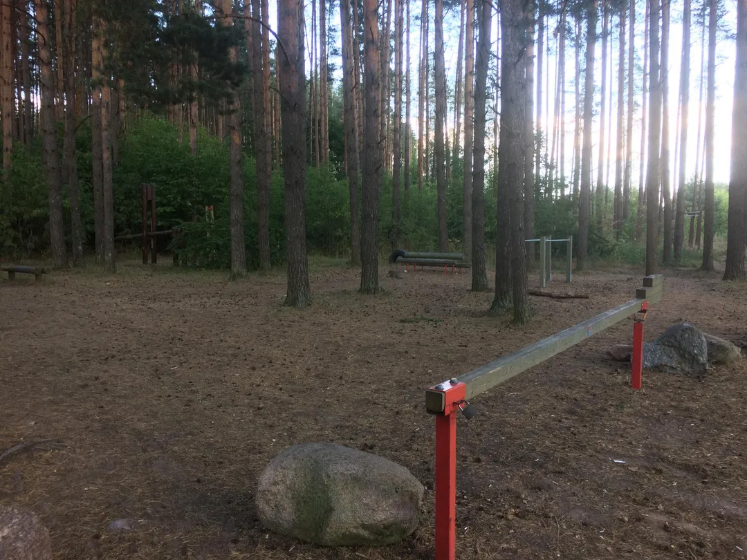 Barras de Mono en Calisthenics Park at Eduard Wiiralti, Tartu linn – foto 5 de 5