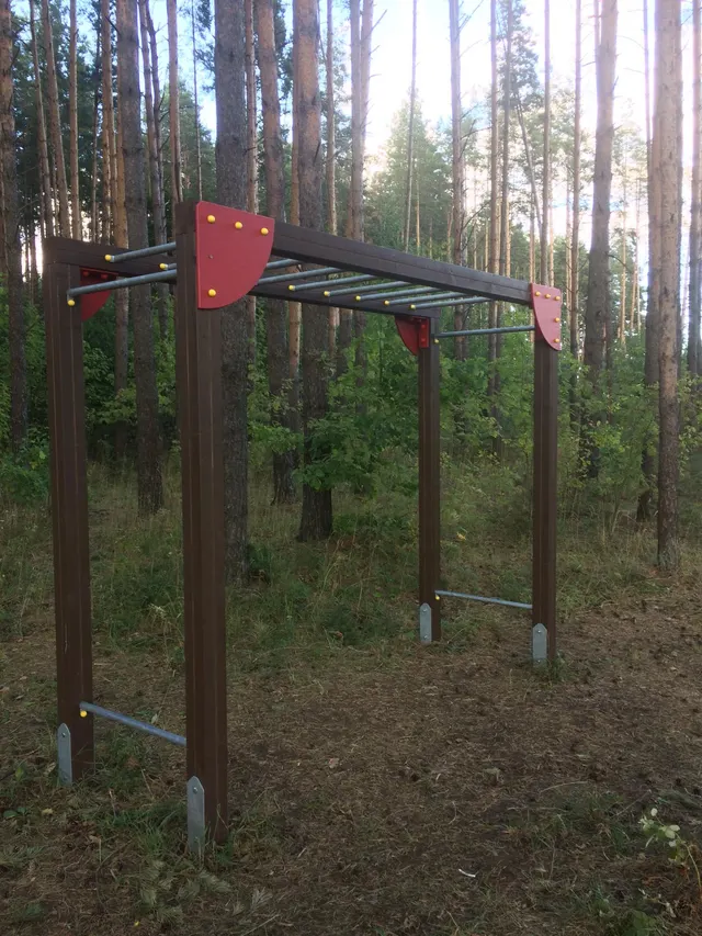 Calisthenics Park at Eduard Wiiralti, Tartu linn