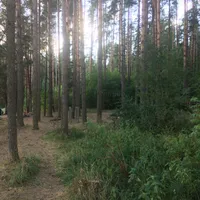 Calisthenics Park at Eduard Wiiralti, Tartu linn - thumbnail 4
