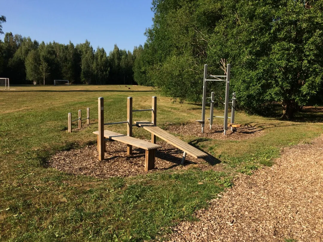 Monkey Bars at Calisthenics Park at Eduard Wiiralti, Tartu linn #wp3376 – photo 3 of 8