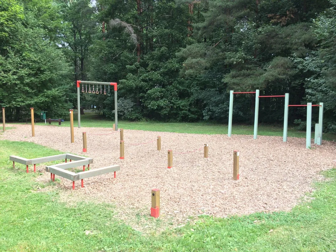 Турнік на майданчику Calisthenics Park at Sanatooriumi parkmetsa spordiväljak, Tartu linn – фото 1 з 4