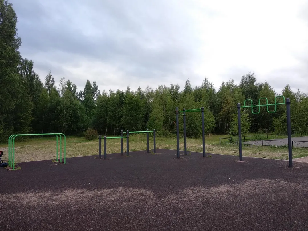 Bară de tracțiuni la Calisthenics Park at Приморское шоссе, Сестрорецк – fotografia 1 din 1