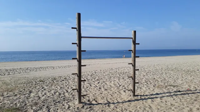 Calisthenics Park at Carrer del Doctor Paul Wiringler, Cambrils