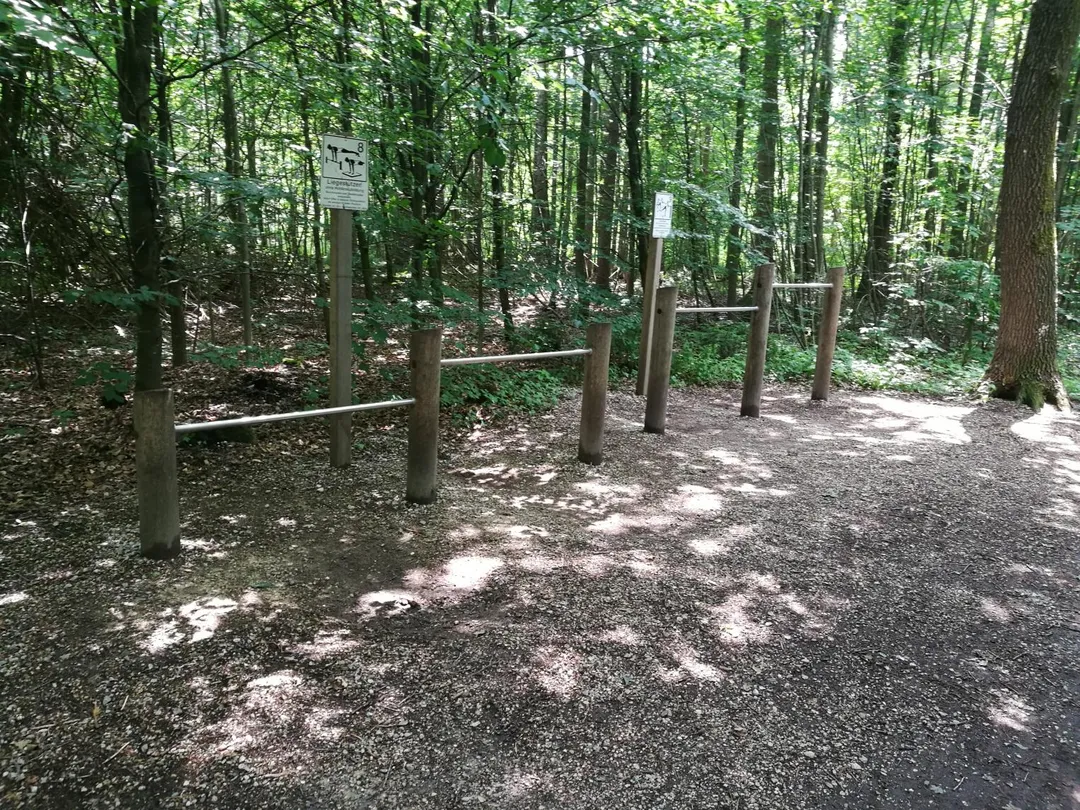 Упоры для отжиманий на площадке Calisthenics Park at Gröbenrieder Straße, Dachau – фото 2 из 6