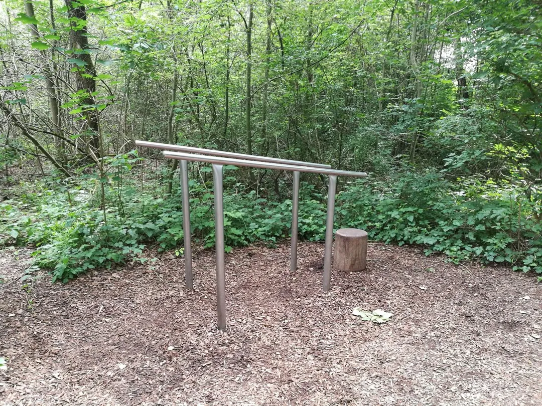 Упоры для отжиманий на площадке Calisthenics Park at Gröbenrieder Straße, Dachau – фото 6 из 6