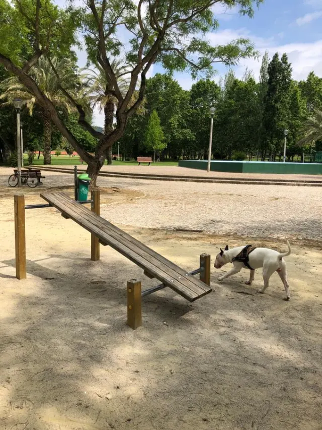 Calisthenics Park at Praceta Santa Rita Pintor, Setúbal