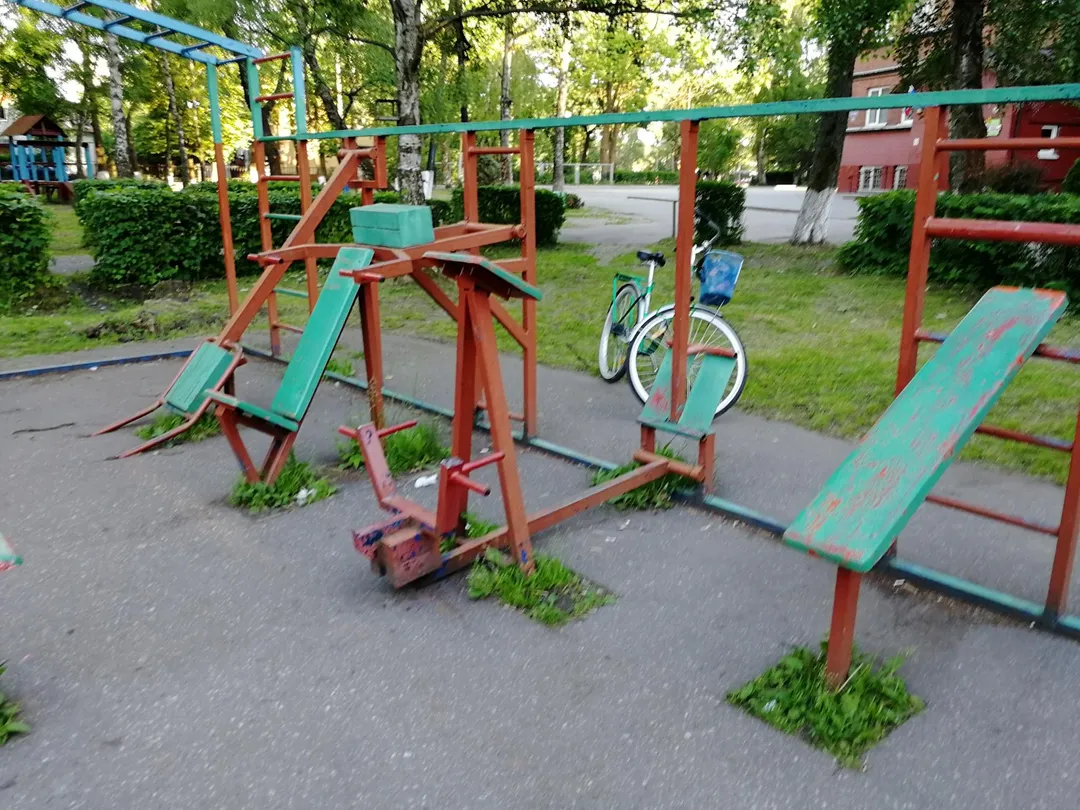 Monkey bar presso Calisthenics Park at улица Тургенева, Зеленоградск – foto 3 di 3