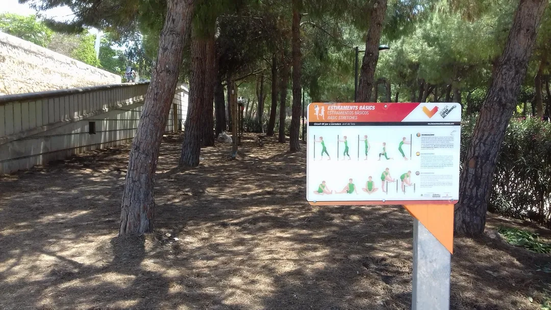 Barres de singe à Calisthenics Park at Plaça de Saragossa, València – photo 2 sur 5