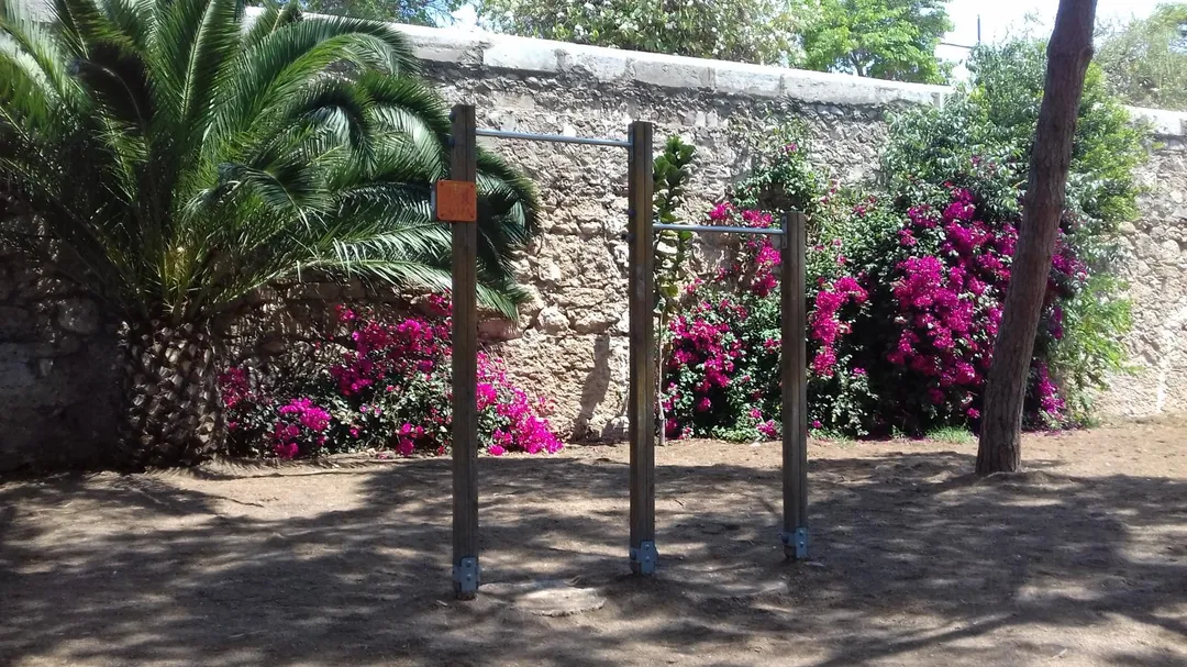 Barres de singe à Calisthenics Park at Plaça de Saragossa, València – photo 5 sur 5