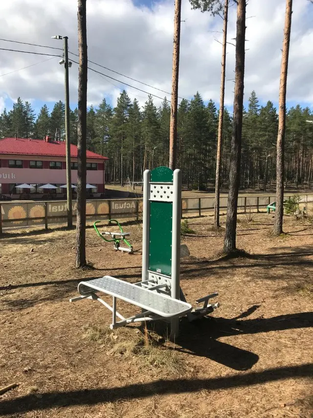 Calisthenics Park at Alutaguse Discgolfipark, Alutaguse vald