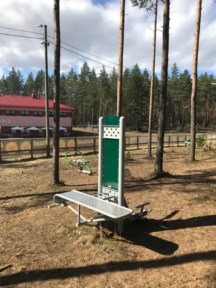 Турнік на майданчику Calisthenics Park at Alutaguse Discgolfipark, Alutaguse vald – фото 1 з 3