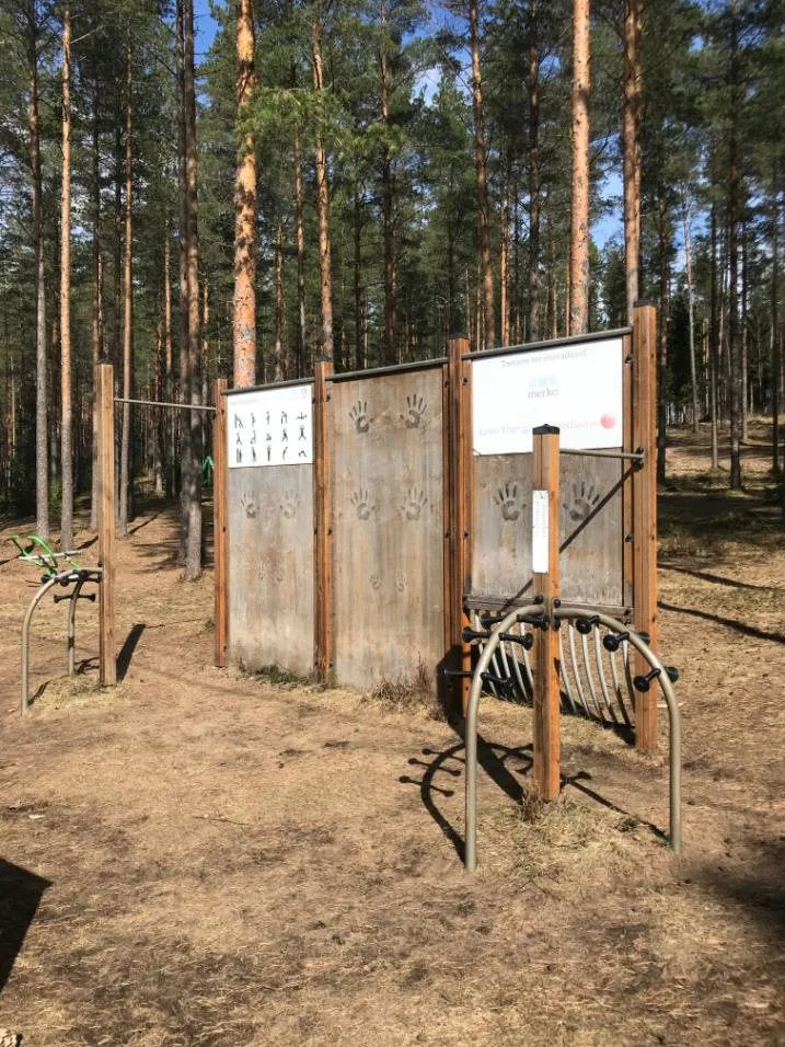 Бруси на майданчику Calisthenics Park at Alutaguse Discgolfipark, Alutaguse vald – фото 2 з 3