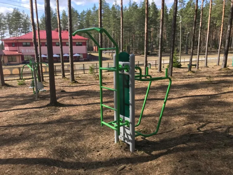 Шведська стінка на майданчику Calisthenics Park at Alutaguse Discgolfipark, Alutaguse vald – фото 3 з 3