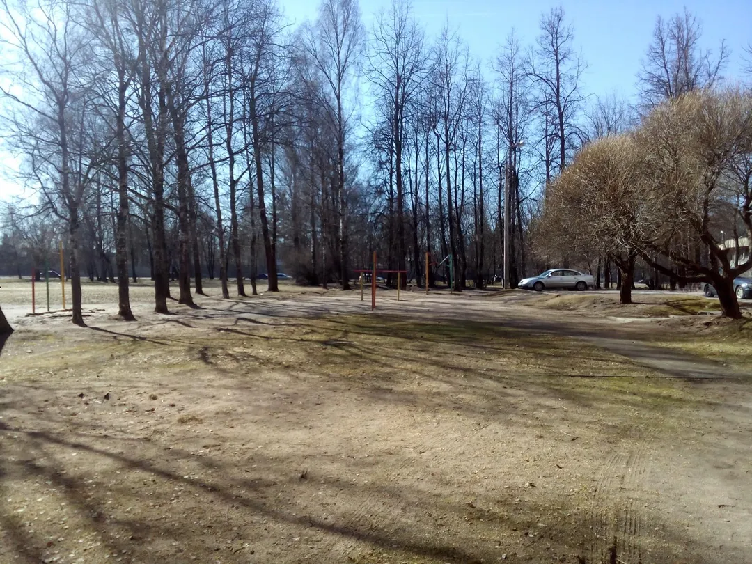 Spalier la Calisthenics Park at Юбилейная улица, городской округ Псков – fotografia 2 din 7