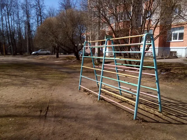 Calisthenics Park at Юбилейная улица, городской округ Псков