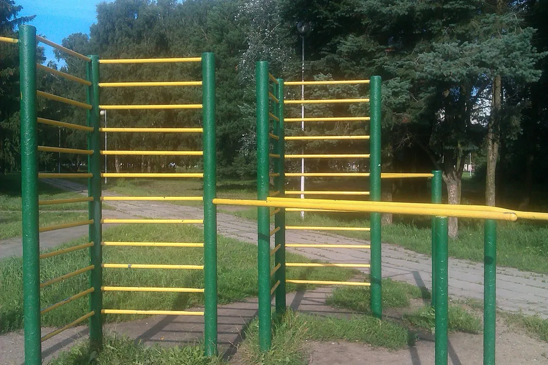 Турнік на майданчику Calisthenics Park at Арлоўская вуліца, Мінск #wp3411 – фото 1 з 2