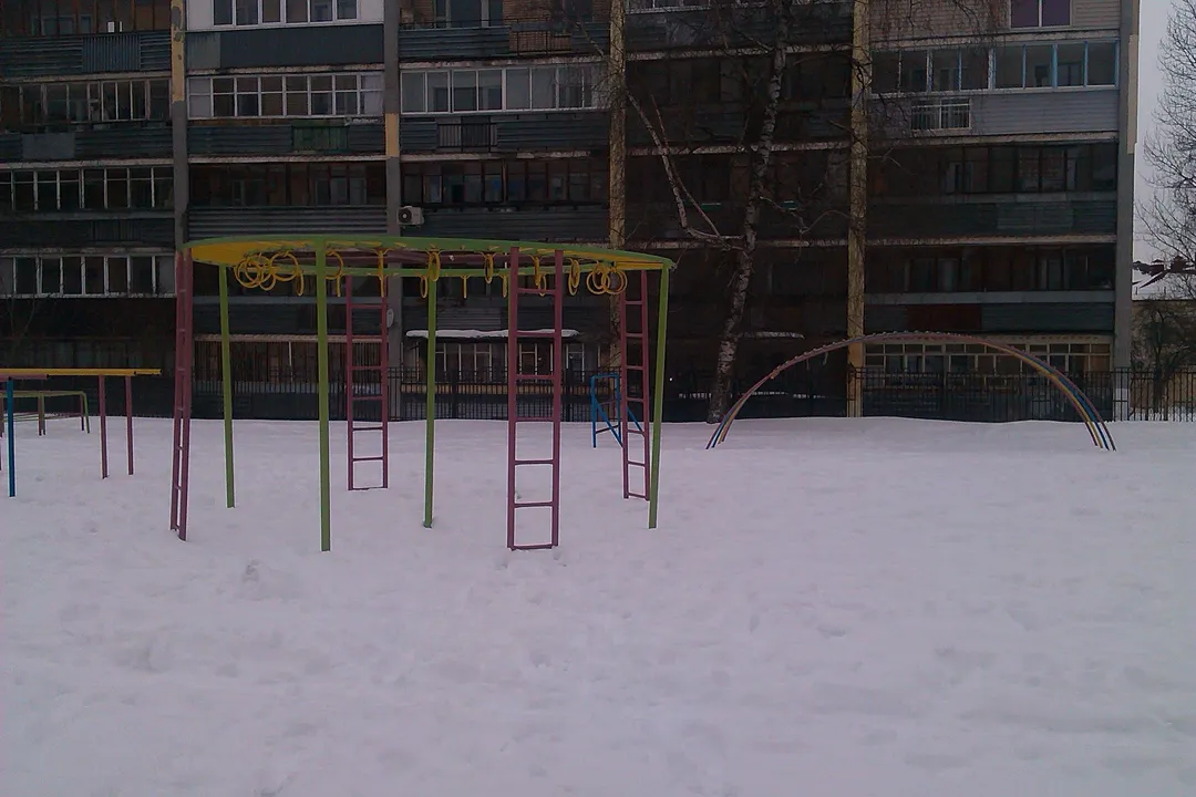 Wall Bars at Calisthenics Park at вуліца Калініна, Мінск – photo 4 of 6
