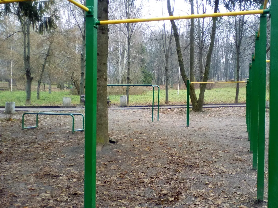 Abs Bench at Calisthenics Park at вулиця Степана Бандери, Рівне – photo 4 of 6