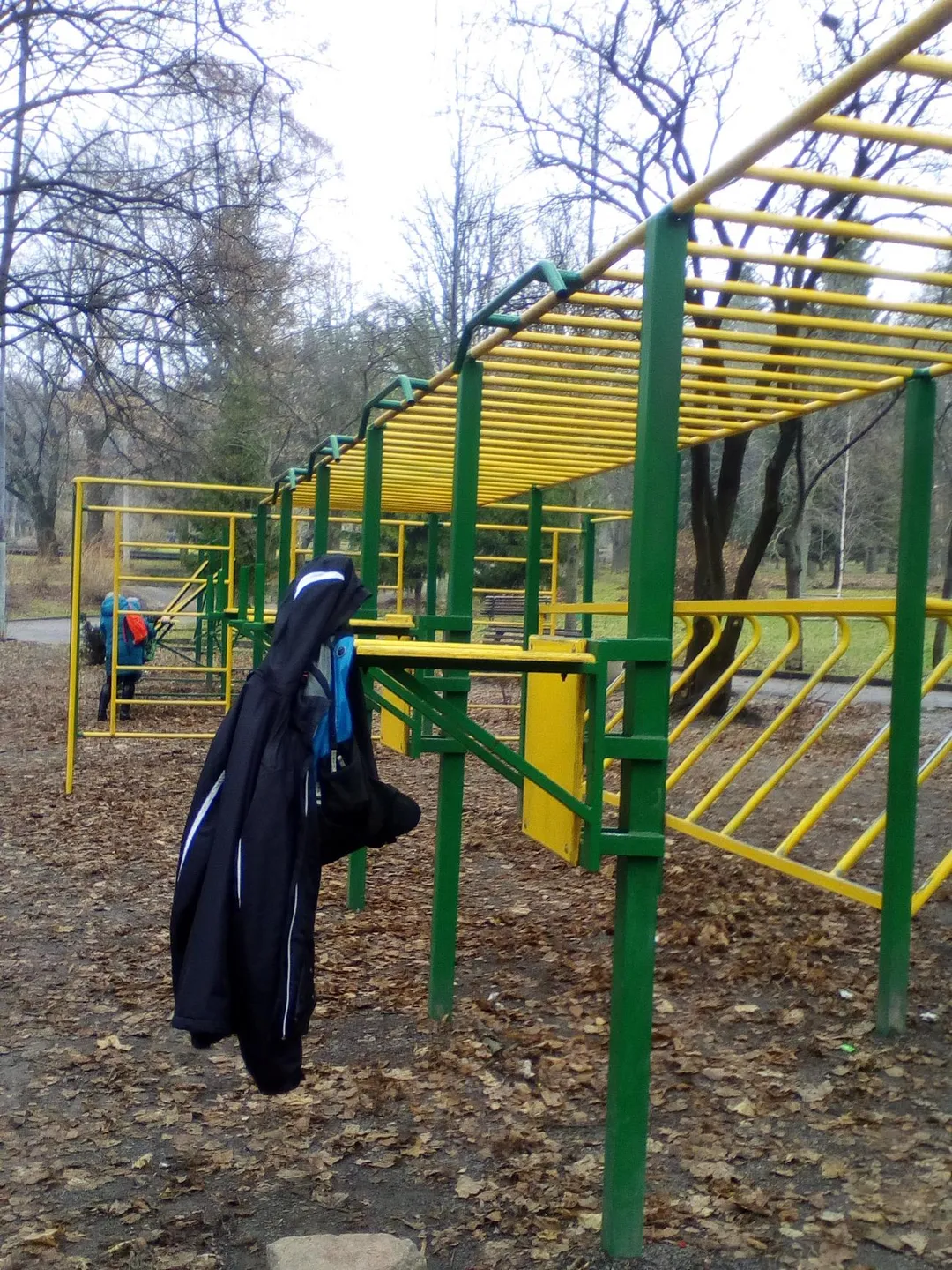 Monkey Bars at Calisthenics Park at вулиця Степана Бандери, Рівне – photo 3 of 6