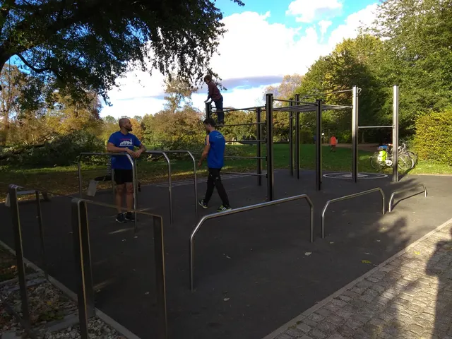 Calisthenics Park at Abteibrücke, Berlin