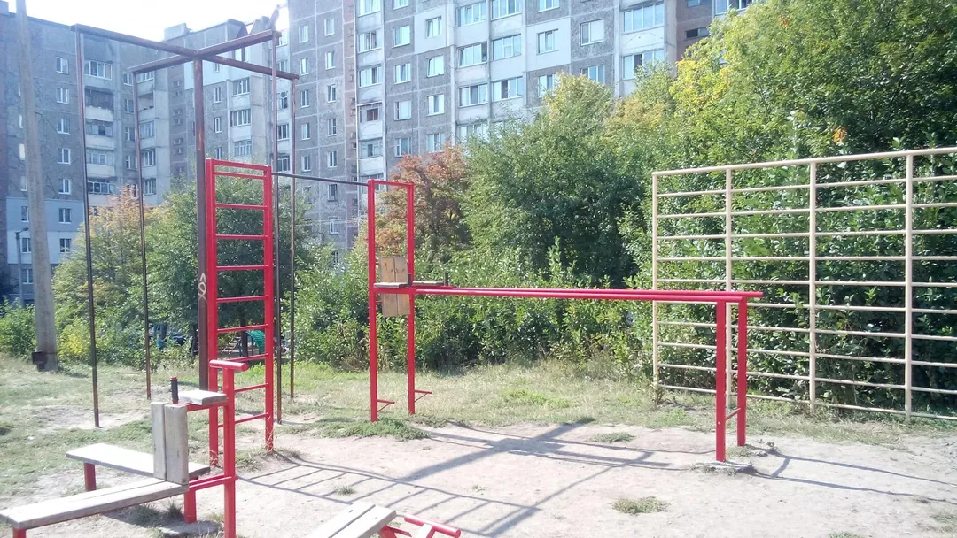 Wall Bars at Calisthenics Park at вулиця Максима Залізняка, Хмельницький – photo 5 of 6