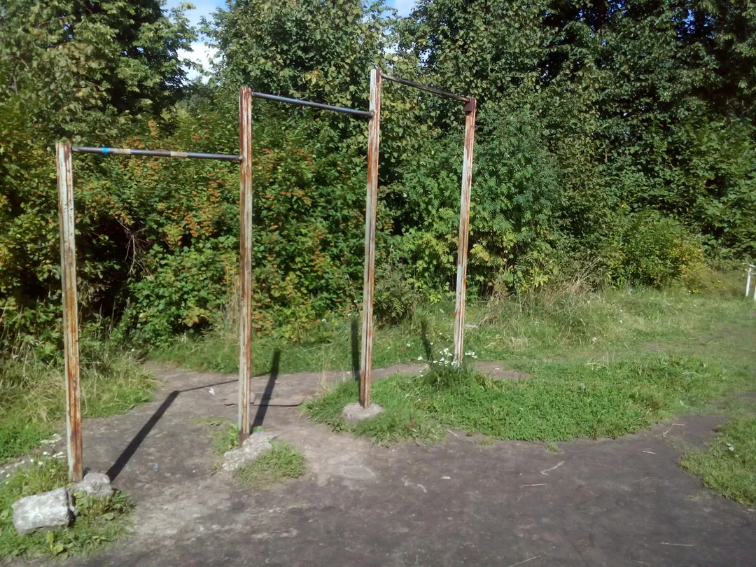 Брусья на площадке Calisthenics Park at Электрон, городской округ Псков – фото 2 из 9