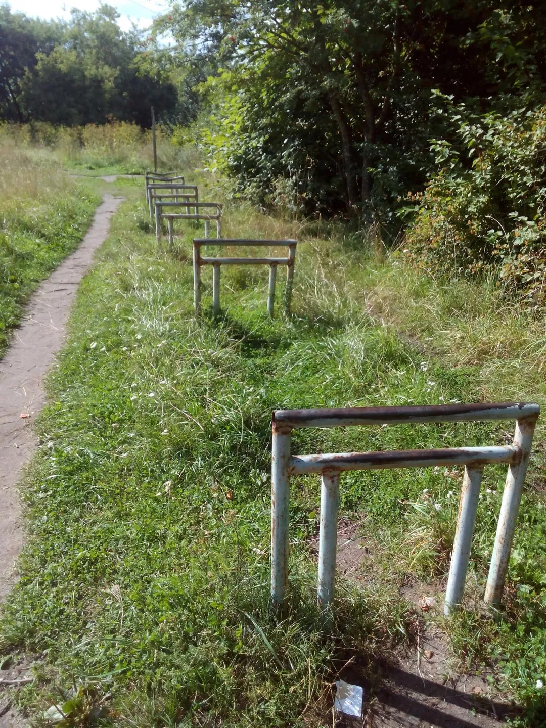 Брусья на площадке Calisthenics Park at Электрон, городской округ Псков – фото 8 из 9